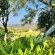 LoerieRoep - 203962