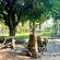 LoerieRoep - 203970