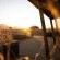 Wolwedans Plains Camp - 204075