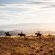 Wolwedans Plains Camp - 204093