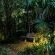 Winterton Country Lodge at Rose Cottage - 204163