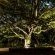 Winterton Country Lodge at Rose Cottage - 204166