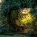 Winterton Country Lodge at Rose Cottage - 204167