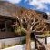 Kleinplasie Lodge - 204447