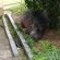 23 Manzini Chalets-Pumba's Den  - 204527