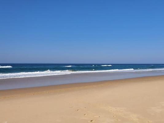 23 Manzini Chalets-Pumba's Den  - 204533
