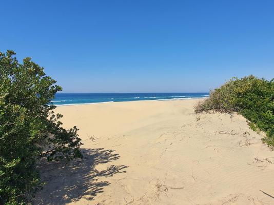 23 Manzini Chalets-Pumba's Den  - 204549