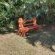 23 Manzini Chalets-Pumba's Den  - 204553