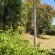 23 Manzini Chalets-Pumba's Den  - 204556