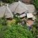 African Ambience Guest House - 204630