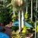 African Ambience Guest House - 204653