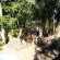 African Dreamz Guest House - 204661