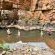 Red Cliff Lodge - 204746
