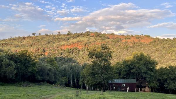 Red Cliff Lodge - 204752