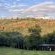 Red Cliff Lodge - 204752