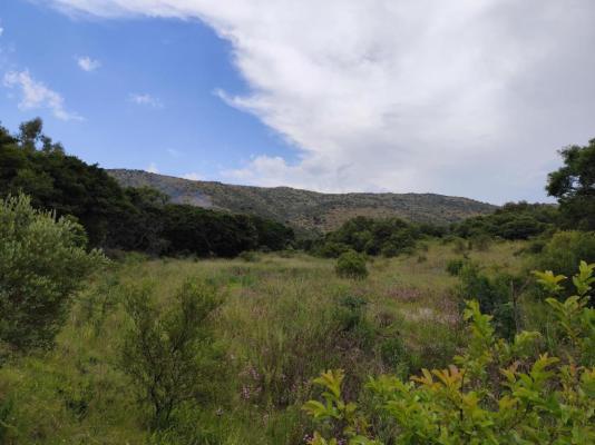 Bethesda Mountain Lodge - 204784