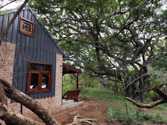 Bethesda Mountain Lodge - 204787