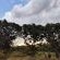 Bethesda Mountain Lodge - 204799