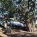 Bethesda Mountain Lodge - 204801