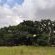 Bethesda Mountain Lodge - 204805
