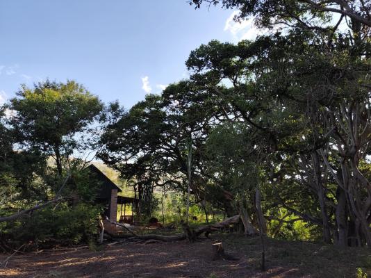 Bethesda Mountain Lodge - 204806
