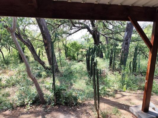 Bethesda Mountain Lodge - 204816