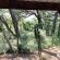 Bethesda Mountain Lodge - 204816