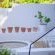 Kalimera Beach House - 204844