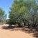 Witsand Nature Reserve - 204955
