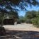 Witsand Nature Reserve - 204962