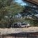 Witsand Nature Reserve - 204987