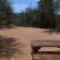 Witsand Nature Reserve - 204997
