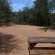 Witsand Nature Reserve - 204997