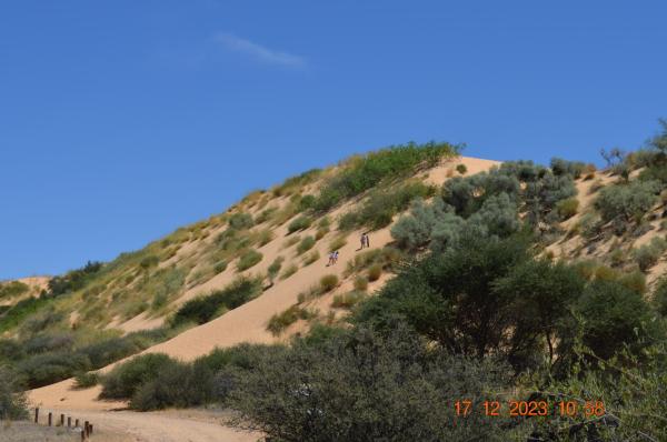 Witsand Nature Reserve - 205028