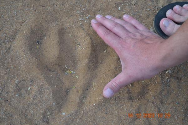 Witsand Nature Reserve - 205029