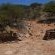 Witsand Nature Reserve - 205036