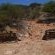 Witsand Nature Reserve - 205036
