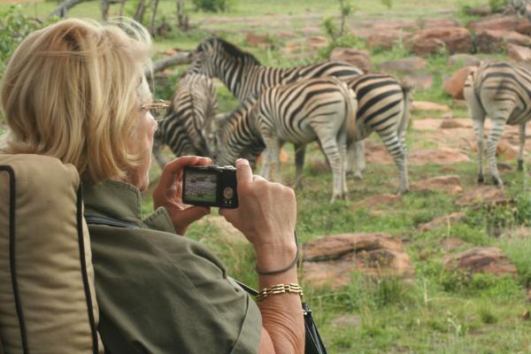 Makweti Safari Lodge - 205041