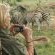 Makweti Safari Lodge - 205041