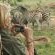 Makweti Safari Lodge - 205041