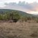Makweti Safari Lodge - 205048