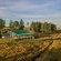 Forty Winks - 205096
