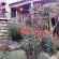 Afrique Boutique Hotel Ruimsig - 205148
