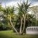 Sunbird Guest House - 205229