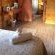 Sunbird Guest House - 205252