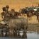 Nambiti Plains Game Lodge - 205298