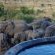 Nambiti Plains Game Lodge - 205307