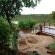 Elephant Rock Lodge - 205318