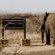 Nambiti Hills Private Game Lodge - 205407