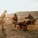 Nambiti Hills Private Game Lodge - 205420